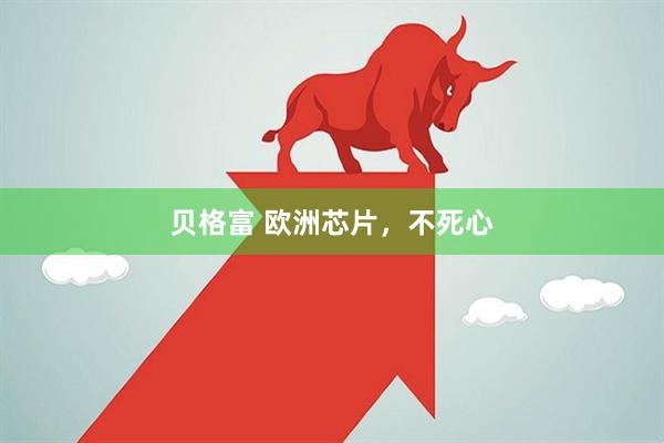 贝格富 欧洲芯片，不死心