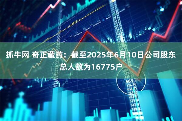 抓牛网 奇正藏药：截至2025年6月10日公司股东总人数为16775户