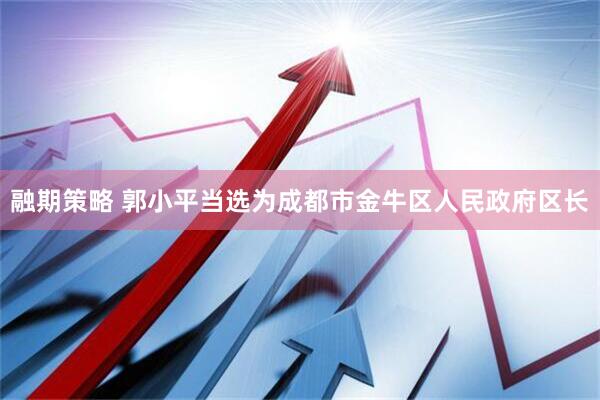 融期策略 郭小平当选为成都市金牛区人民政府区长