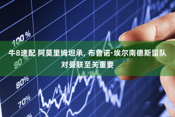 牛8速配 阿莫里姆坦承, 布鲁诺·埃尔南德斯留队对曼联至关重要