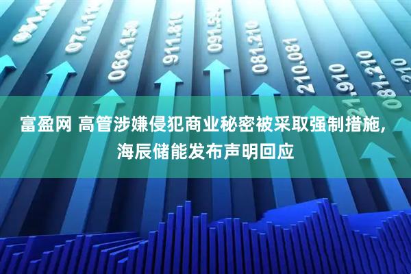 富盈网 高管涉嫌侵犯商业秘密被采取强制措施, 海辰储能发布声明回应