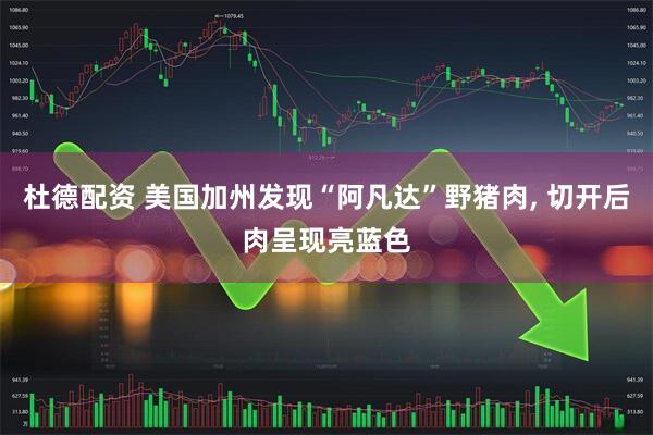 杜德配资 美国加州发现“阿凡达”野猪肉, 切开后肉呈现亮蓝色