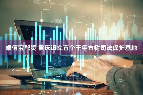 卓信宝配资 重庆设立首个千年古树司法保护基地
